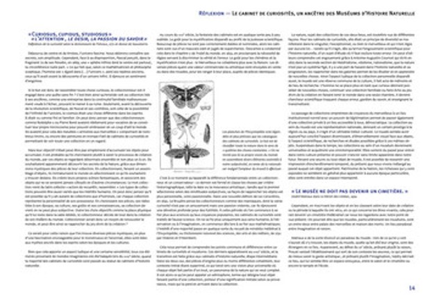 Cabinet de curiosités Image