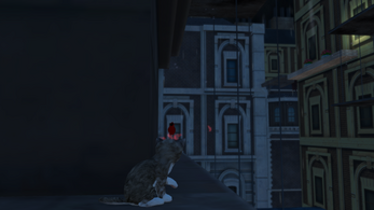 La nuit, tous les chats sont gris Image