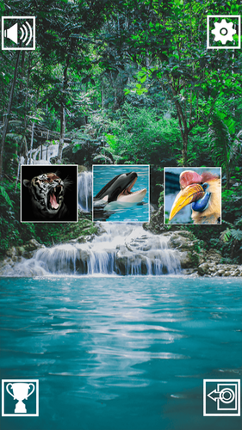 Memory Match Jungle Animals Image