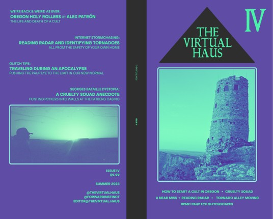 THE VIRTUAL HAUS IV Game Cover