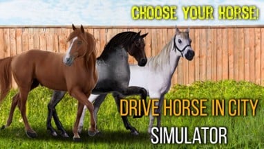 Drive Horse In City Simulator Image