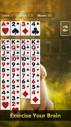Solitaire Pal: Big Card Image