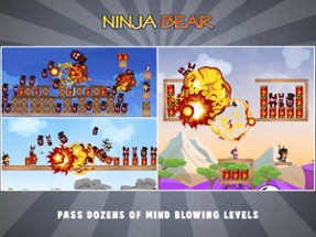 Ninja Bear: Slingshot Shooter Image