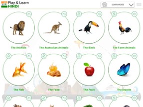 Play and Learn Hindi Image