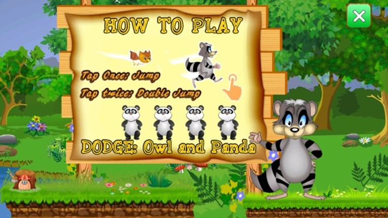 Racoon Voyage Race : Raccoon Animal vs. Panda and Owls screenshot