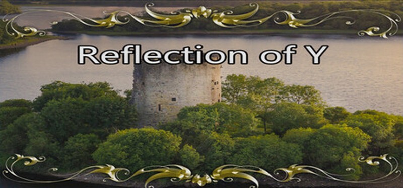 Reflection of Y Image