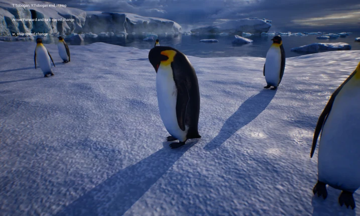 Life of a Penguin Image