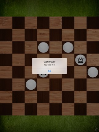 Mr Checkers Image