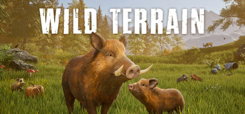 Wild Terrain Image