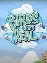 Birds Aren’t Real Image