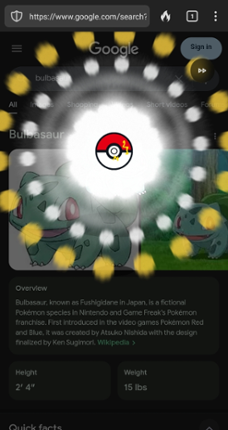 Catch Pokémon Image
