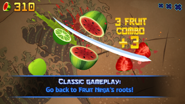 Fruit Ninja Classic Image