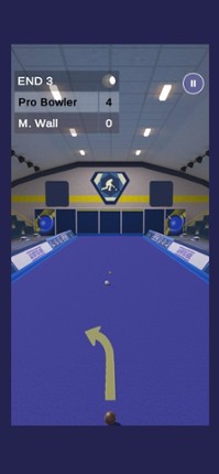 Bowls Pro screenshot