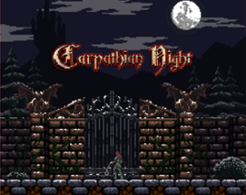 Carpathian Night Image