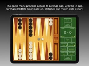 True Backgammon Image