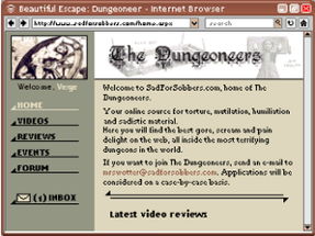 Beautiful Escape: Dungeoneer Image