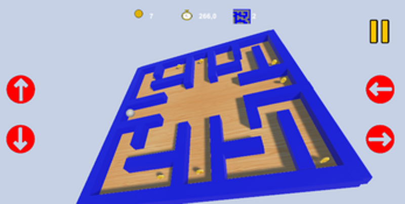 Coin Collector Image