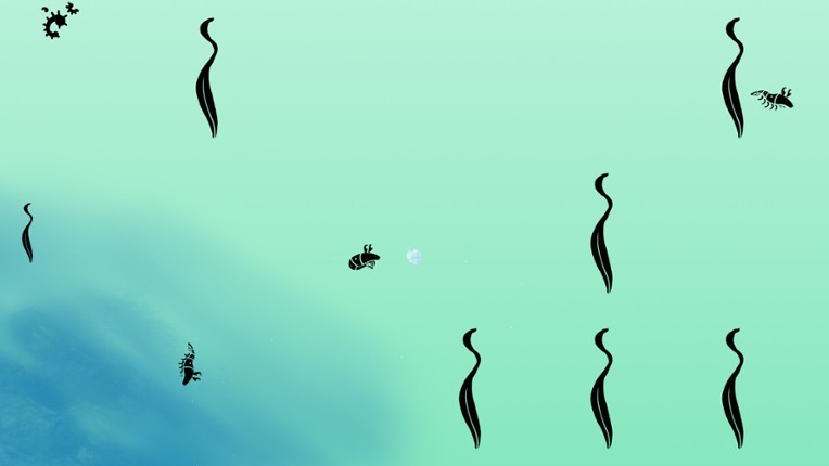 Euphausia superba: The Antarctic Krill Image