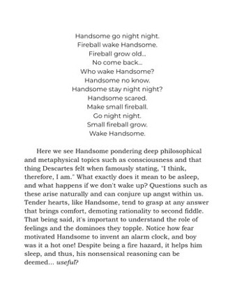 Handsome's Useful Nonsense Image