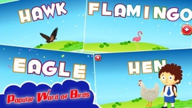 Kids Spelling Learning Birds - Phonics Words Free Image