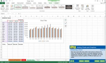 Professor Teaches® Excel 2013 & 365 Image