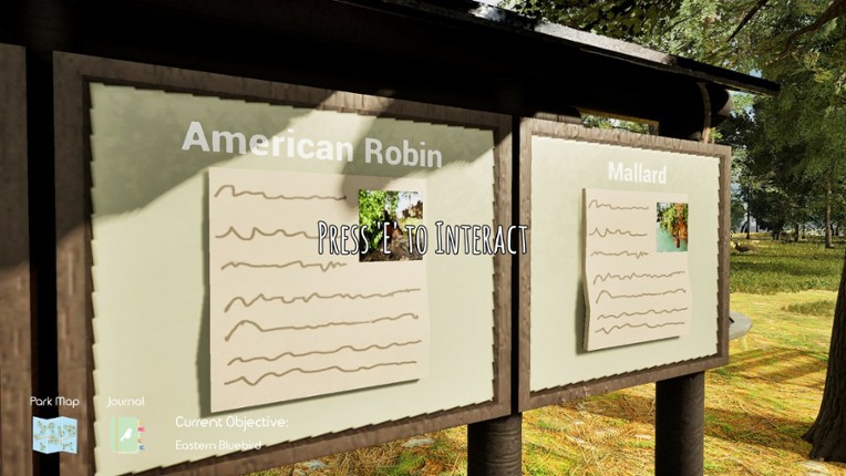 Bird Watch: Central Park screenshot