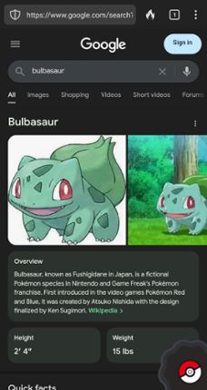 Catch Pokémon Image