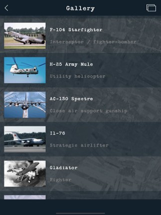 Guess the Military Aircraft screenshot