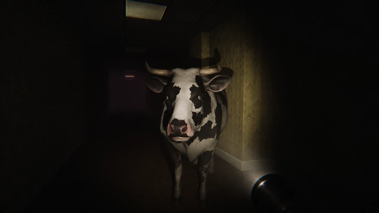 The Halls Remain Image