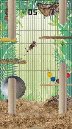 Donny Degu screenshot