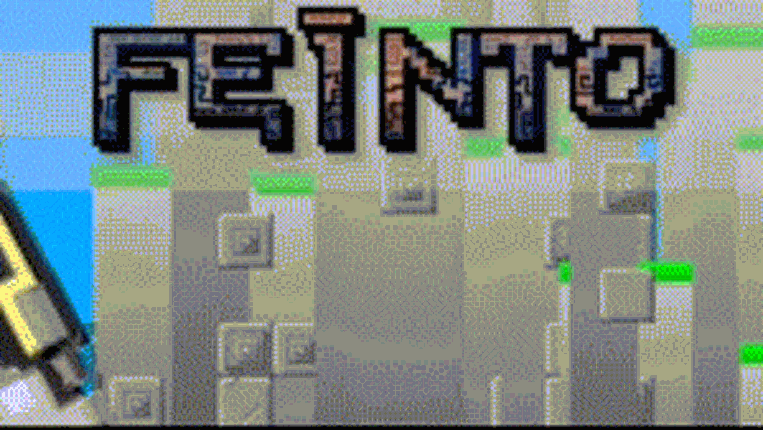 Feinto Image