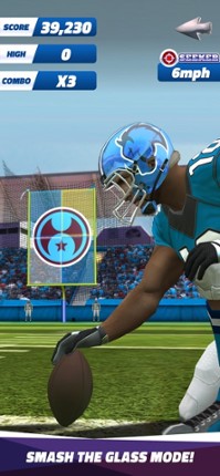 Flick Field Goal 25 screenshot