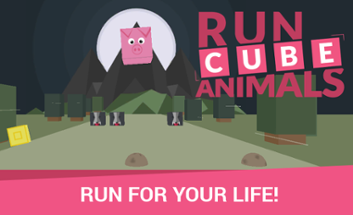 Run, Cube Animals Image