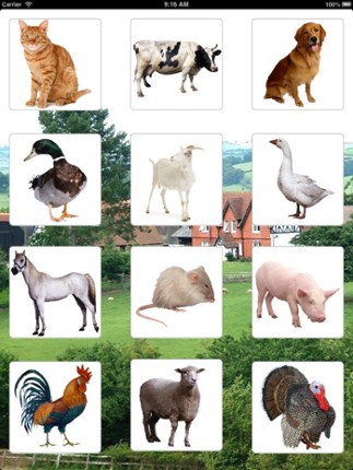 Sounds of Farm Animals screenshot