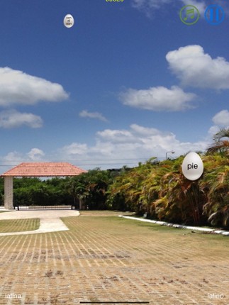 Género - learn noun gender Image