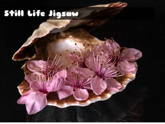 Still Life Jigsaw Image