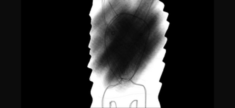 You’re not shy. Right? screenshot