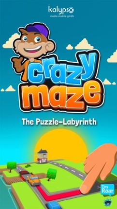 Crazy Maze - Puzzle Action screenshot