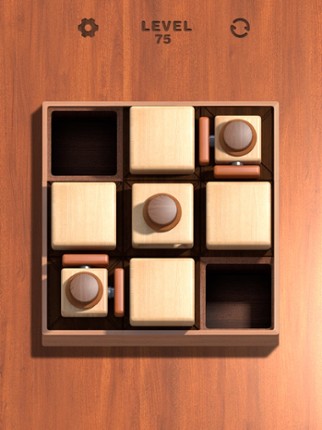 Push Block: Go Direction Path screenshot