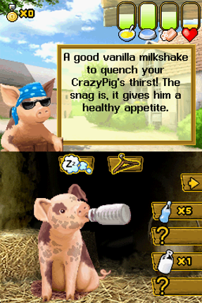 Crazy Pig Image