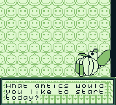 Kaverini: Viti Levu Image