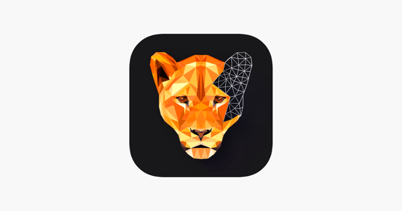 Polygon: Paint Color by Number Image