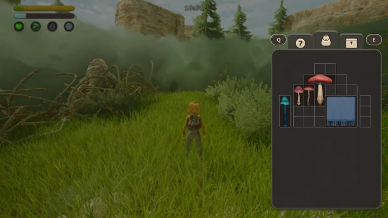 Quiet Grove: Lost in the Fog Image