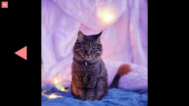 TitTok Kitty screenshot