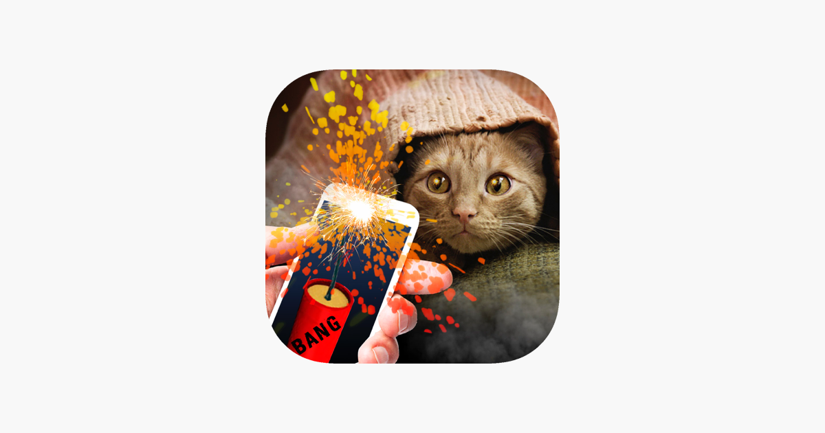 Games like Bang Deafened Cat Prank