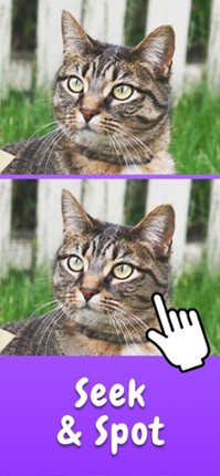 Find The Difference: Spot It ⁺ screenshot