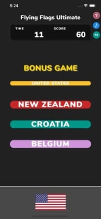 Flying Flags Ultimate screenshot