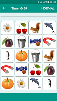 Brain game. Picture Match Image