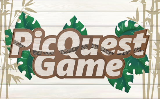 Games like PicQuestGame