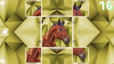 Poly Puzzle: Animals Image